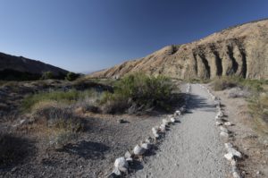 Coming out of Whitewater Reserve