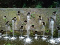 Fountain in botanic garden