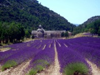 Sénanque Monestry in France