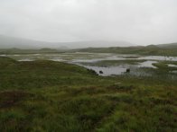 Highland swamps
