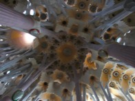 The ceiling in La Sagrada Famllia